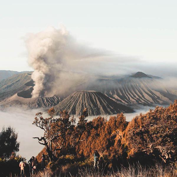 Live vulcano